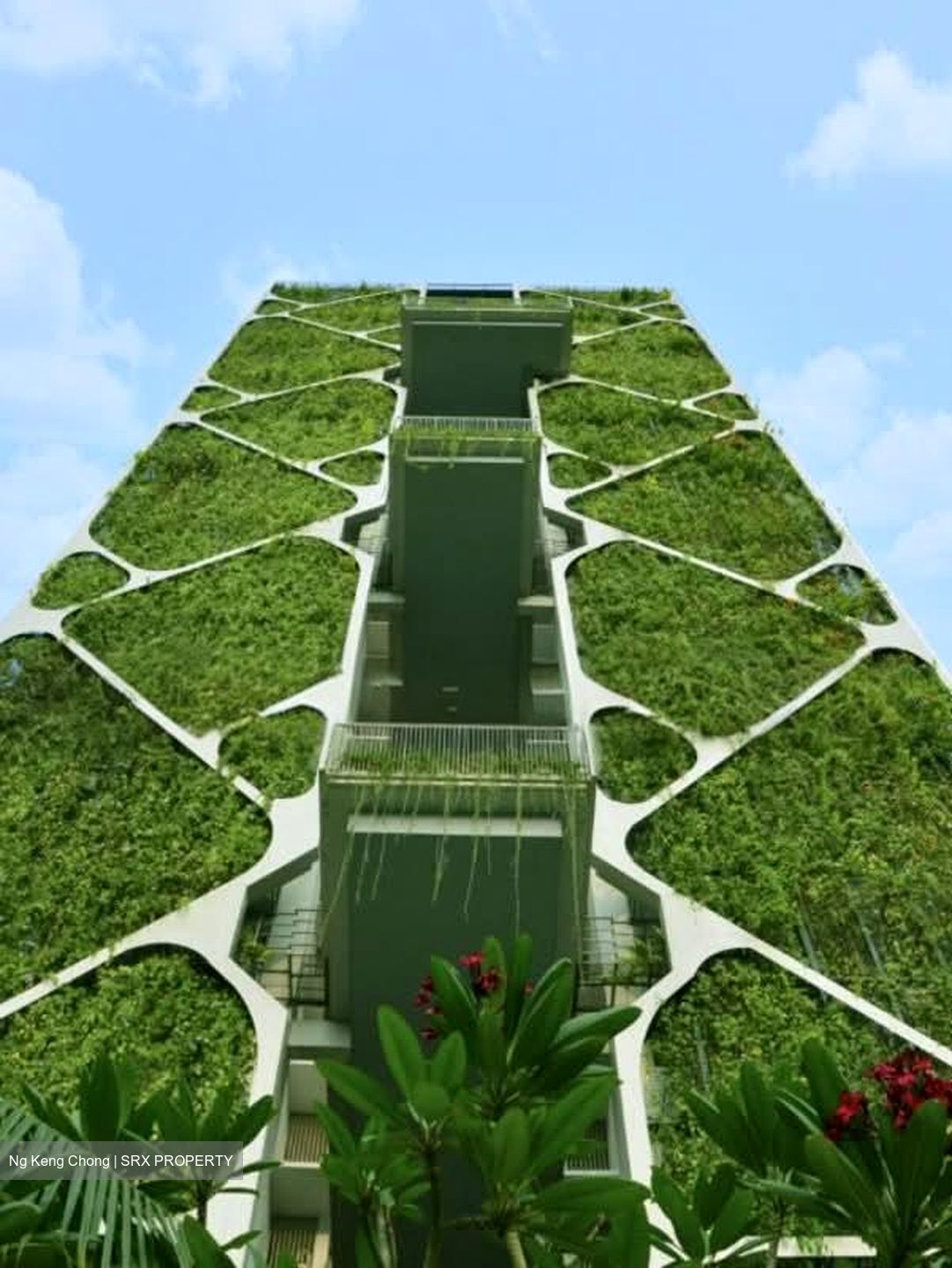 Tree House (D23), Condominium #562081101